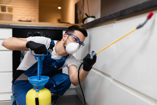 Best Termite Control Services  in Flora, IN