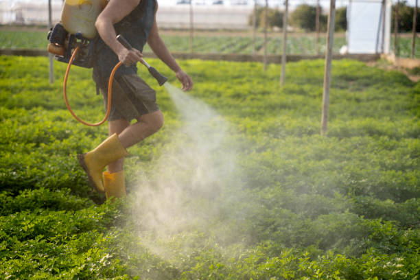 Best Affordable Pest Control Services  in Flora, IN