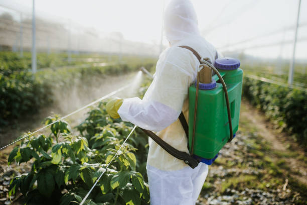 Best Pest Inspection Near Me  in Flora, IN